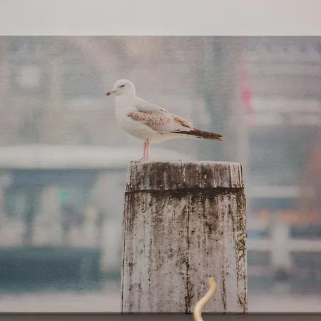 Canteras Little Gem * Las Palmas de Gran Canaria