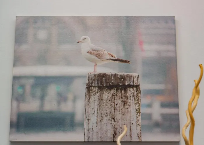 Canteras Little Gem * Las Palmas de Gran Canaria